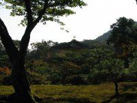 IMG_3350.JPG